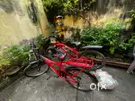 NEW CYCLE BRAND NEW CONDITION
