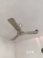Electrcal selling fan