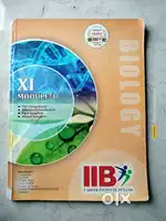11th IIB modules pcb