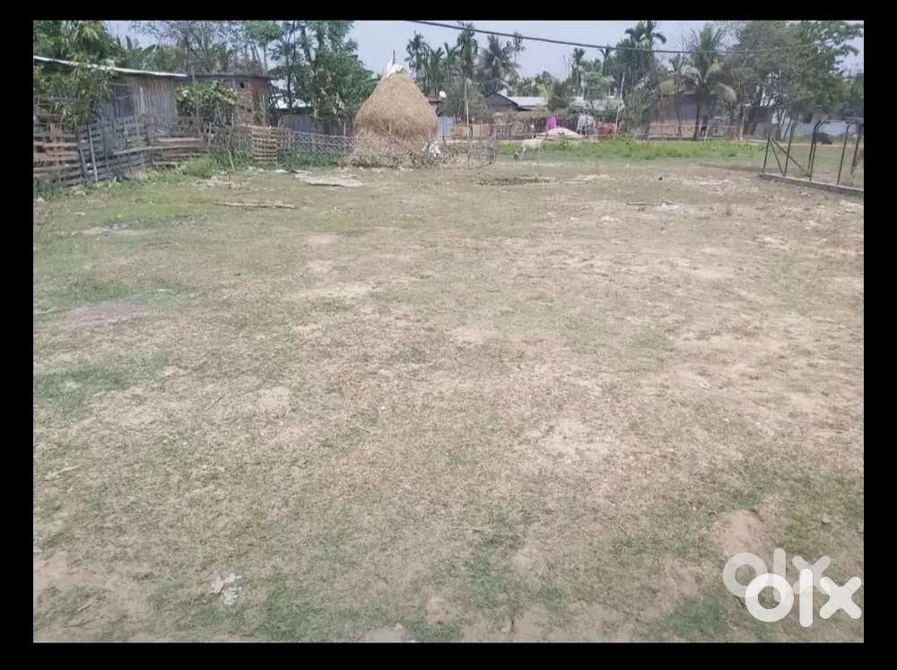 Hojai rampur 4 ali