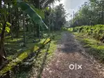 24 CENT HOUSE PLOT FOR SALE KARUKUTTY NEAR CHOLA FARM RESORT