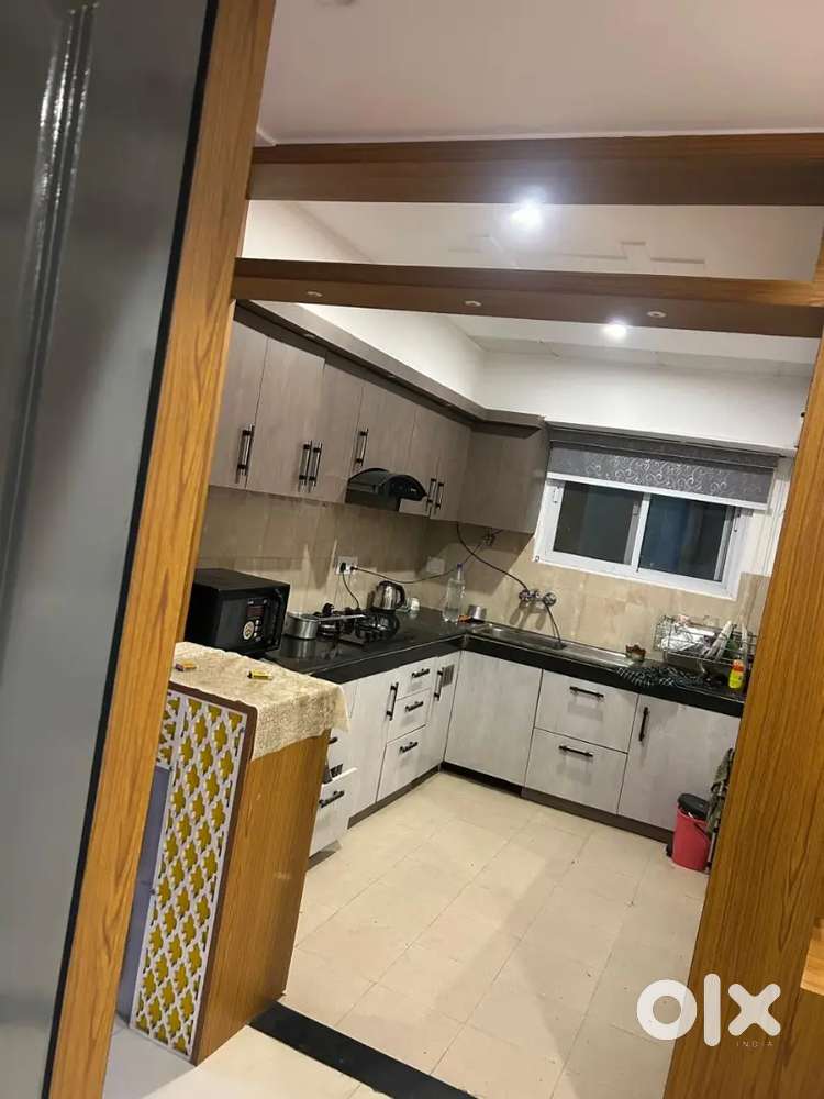 1 BHK, 2 BHK, 3 BHK, All type of property available 4 rent in Ashiyana