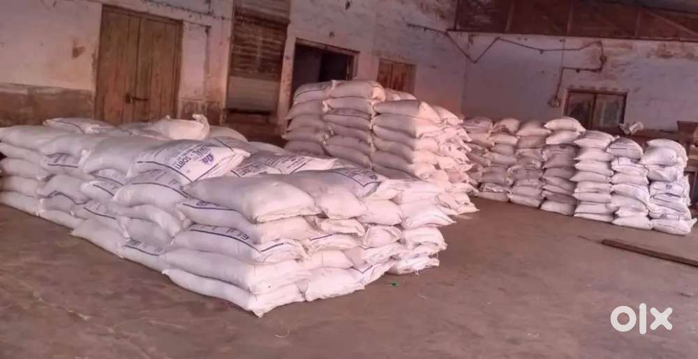 Basement 1100sqt to 2500sqft