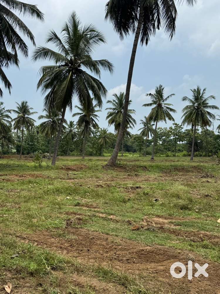 Farm land for sale