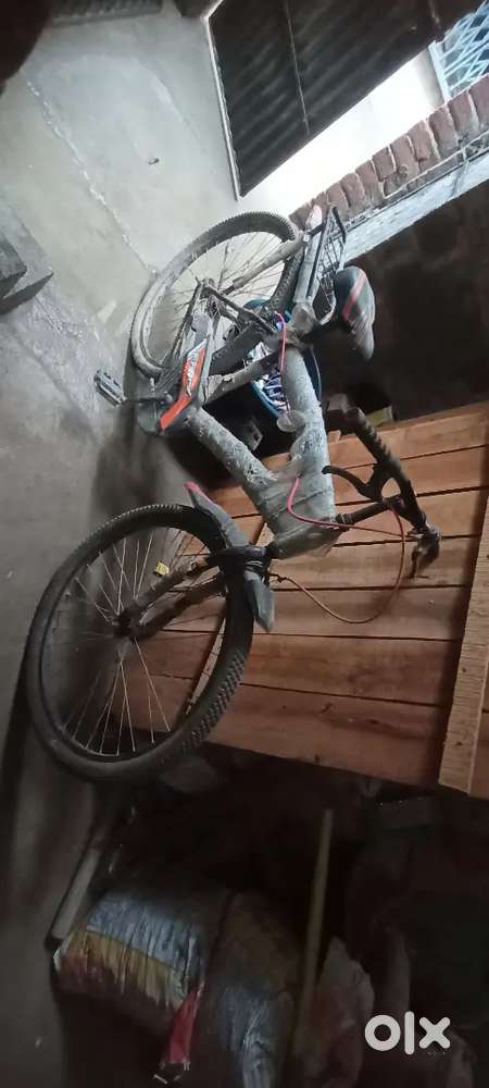 New cycle 3 months old