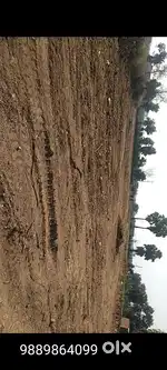 2 एकड़ जमीन बेचना है गढ़मऊ रेलवे क्रॉसिंग से लगी हुई है