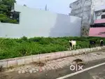 Om Nagar Colony, Benipur Pokhara में बेहतरीन Residential Plot