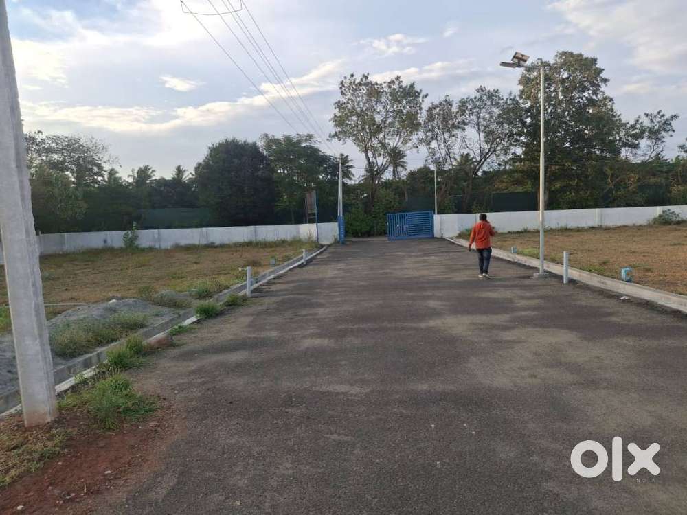 Okkilipalayam 3.5 Cent Plot For Sale Near Highway