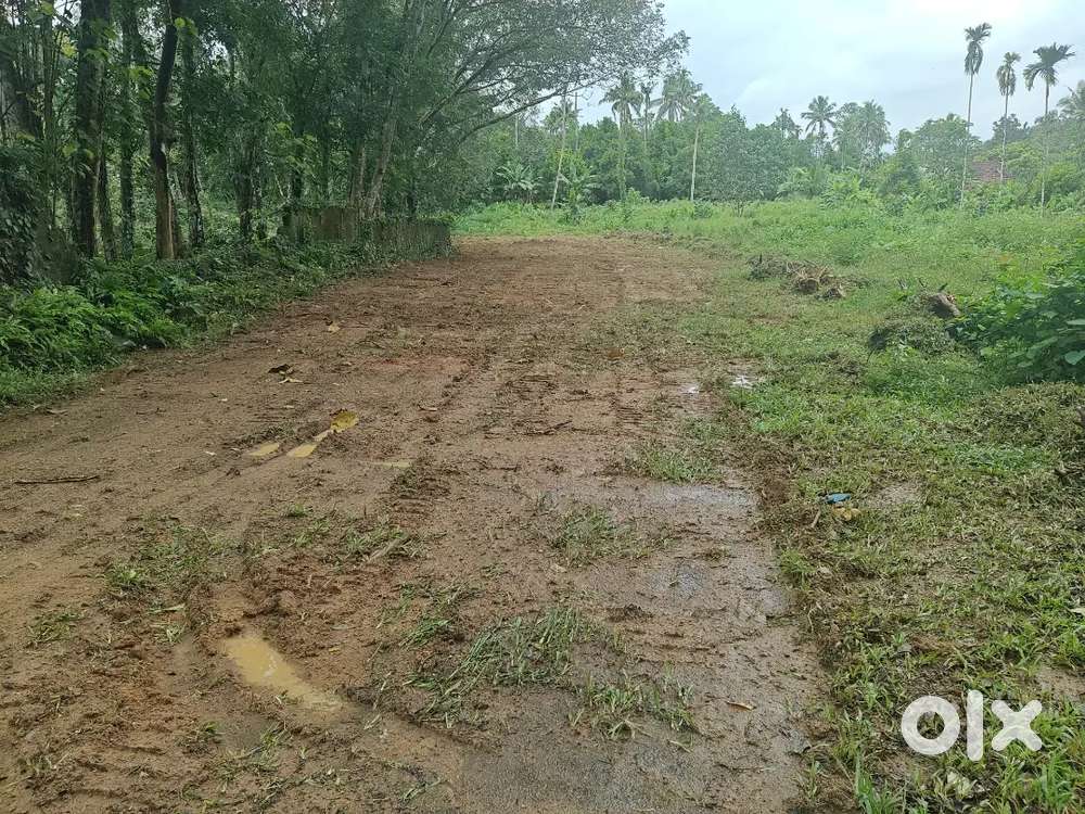 Silver Spring Villas _ Thrikkalathoor House Plot.