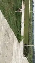 Balasore properties