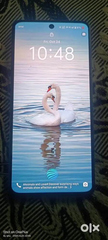 Vivo y200 out of warranty 8 128