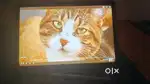 Samsung Tab S9 FE | Warranty + Free Case | 6GB/128GB + S Pen