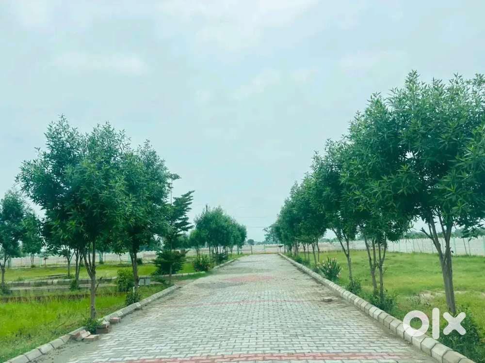 Urgent plot bikau h karmyogi