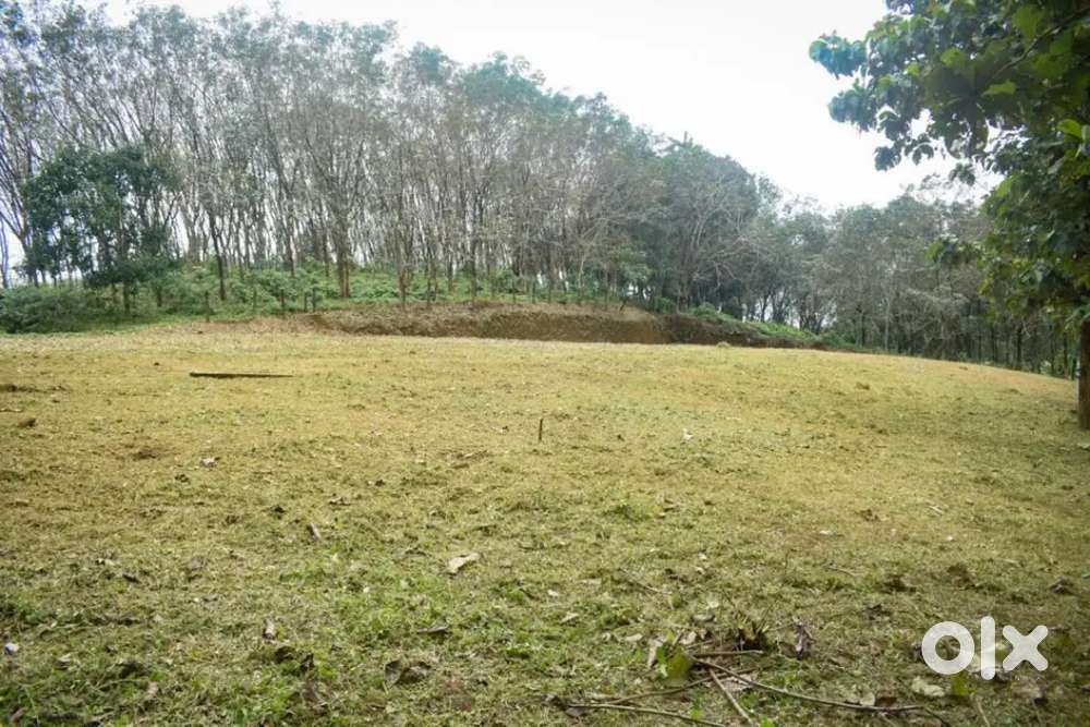 68 cents next to Thamarassery - kodenchery - thusharagiri road