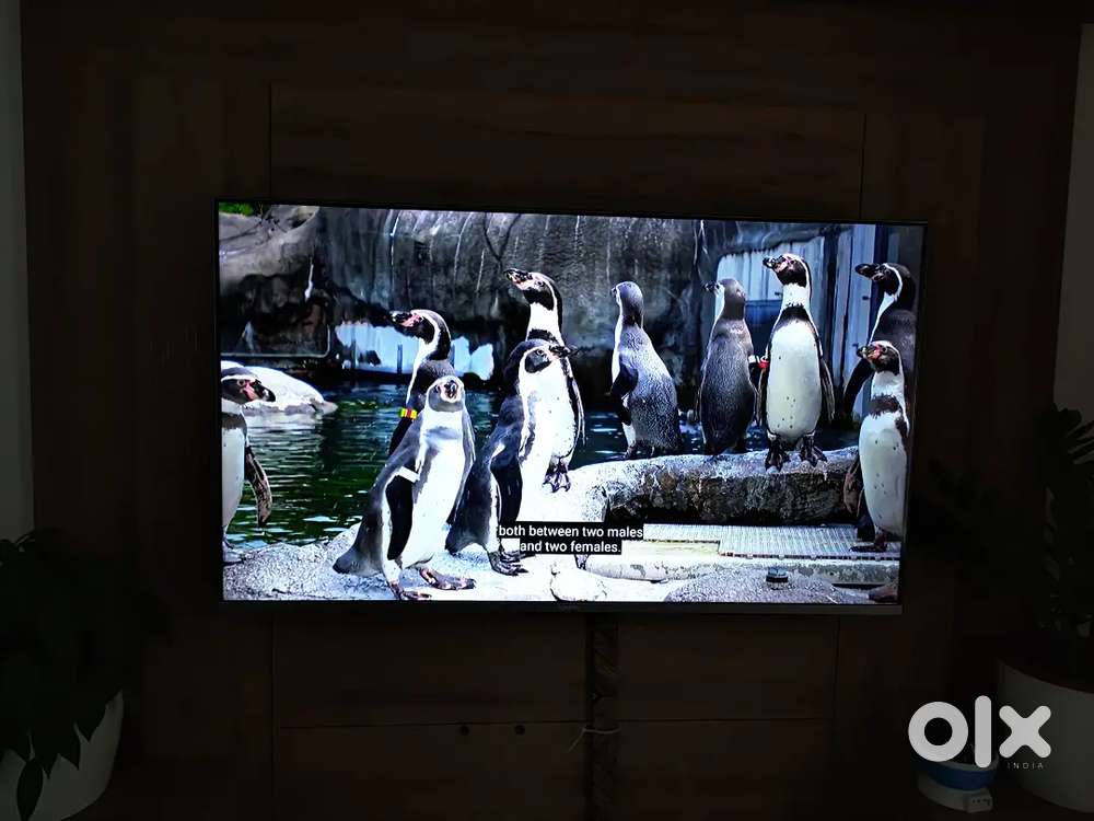 MI Android TV 50