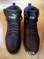 Puma brand new shoes