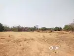 CLEAR TITLE PLOTS IN DAHANU AT RESNABLE  RATES