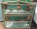 Love Birds Cage For Sale
