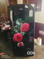 Badhiya firiz hai ayek saal pura na hai