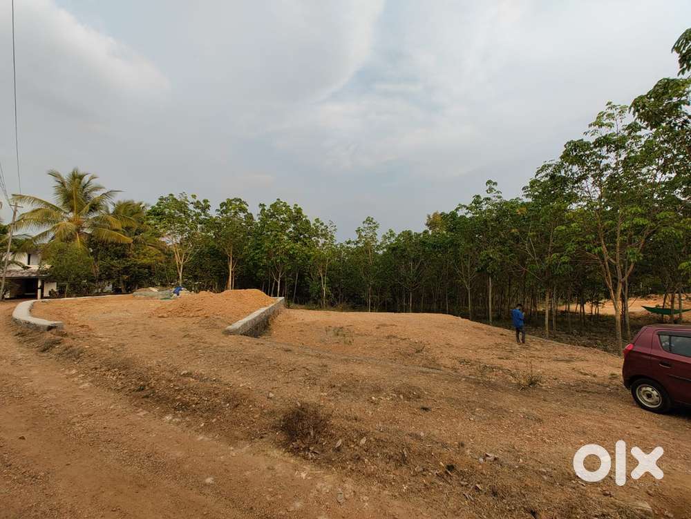 12 Cent Plot for Sale at Pattimattom