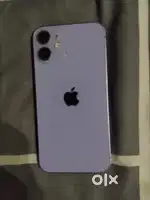 12 Mini I Phone