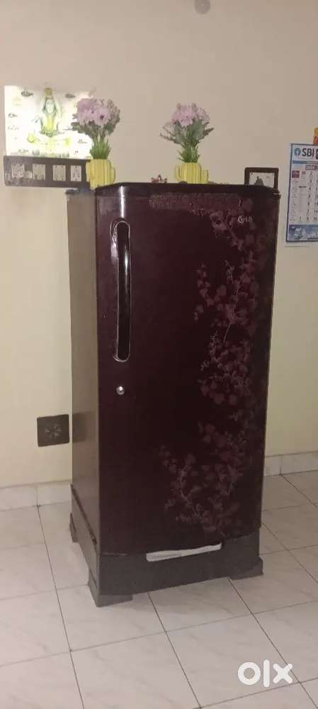 LG Single Door Refrigerator – 190L, Maroon Floral Design