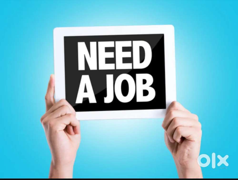 Looking for a job please