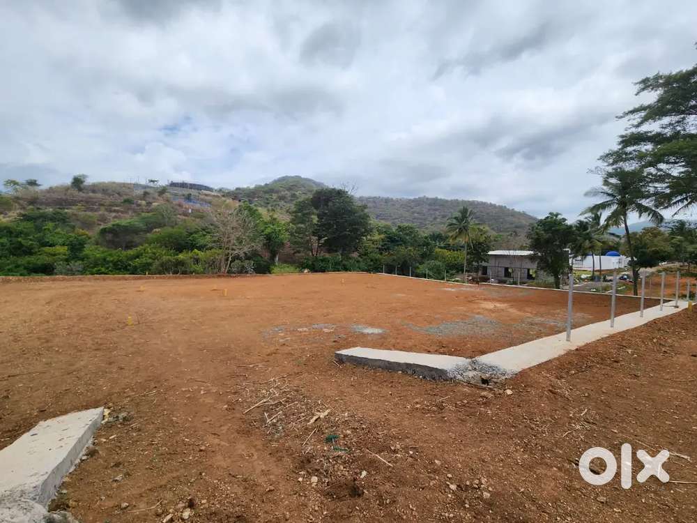 Anaikatti River side Property.