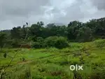 I am looking for land in the Khed Shivapur and nearby areas.