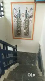 Rented house
