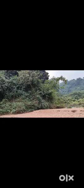 Land direct owners