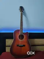 Brand New Guitar For Sale
