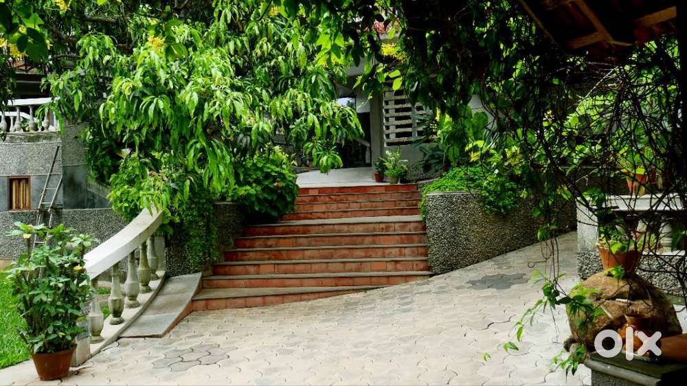 Restaurant Service Staff