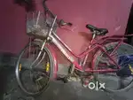 Girls' cycle