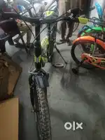 Brand new cycle