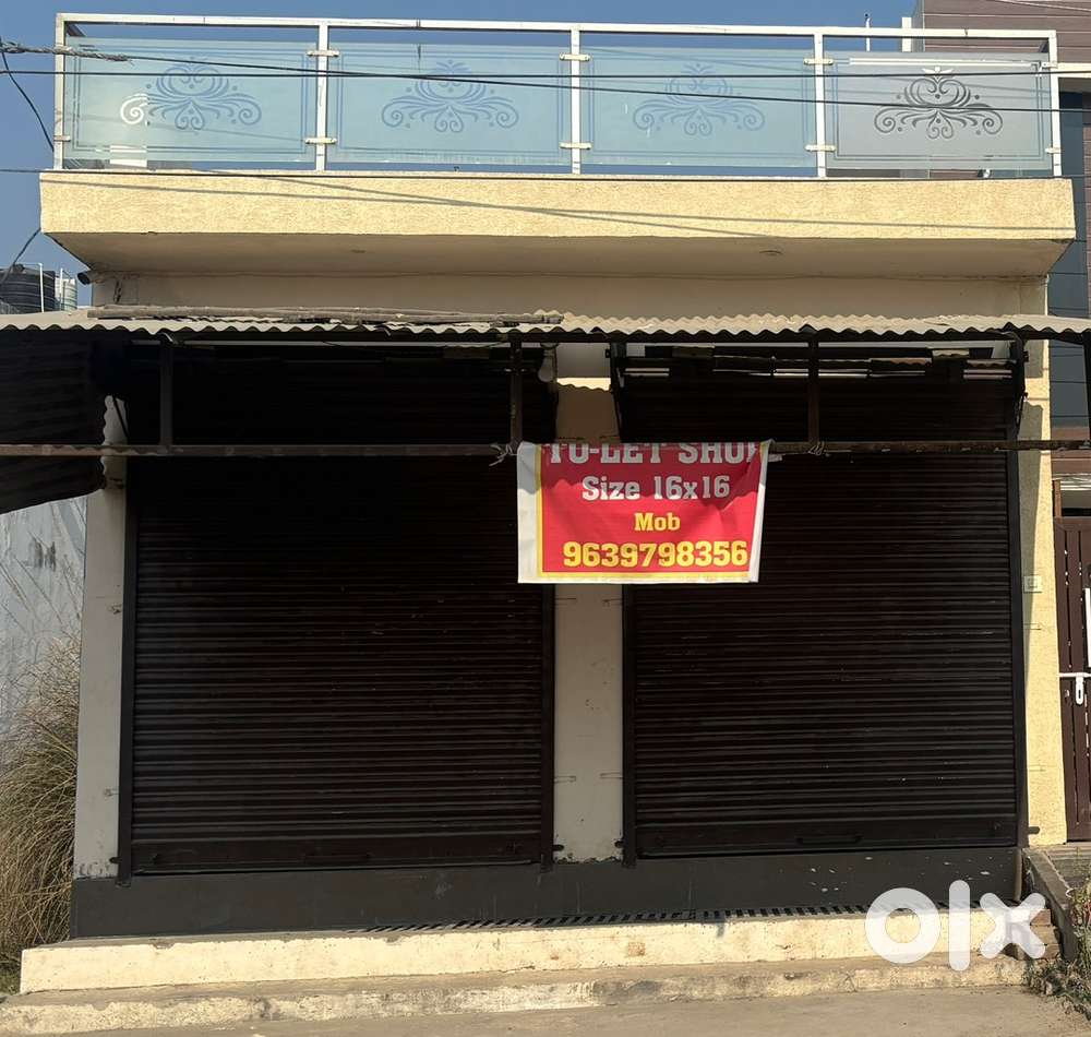 16/16 shop for office