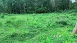 `1 ACER PLOT FOR SALE NEAR PALAI