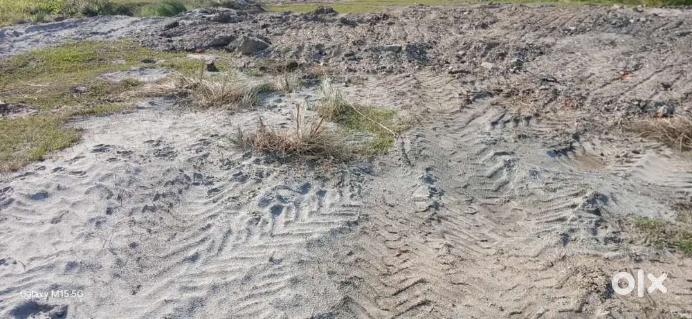 Myadi plot(Total area 1 bigha)