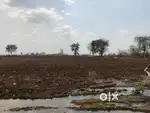 3 acre land available rent/lease for farming, factory, where house etc