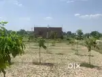 Farm Land for sale @ 2699 Per Square Yard