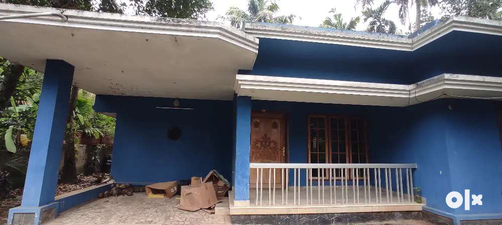 Kadungalloor house for rent