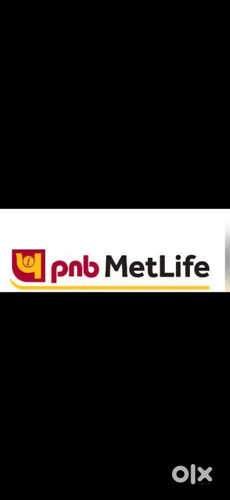 Financial Consultant