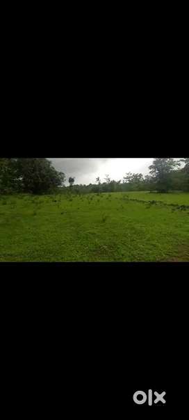 Agriculture land for sale in khed ratnagiri