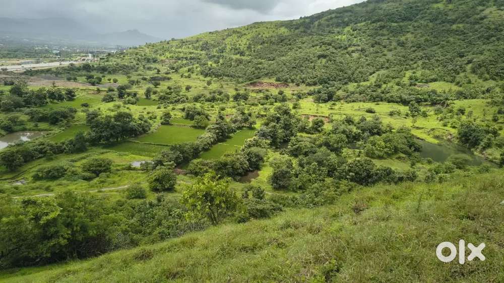 I want to sell my plot in Urse