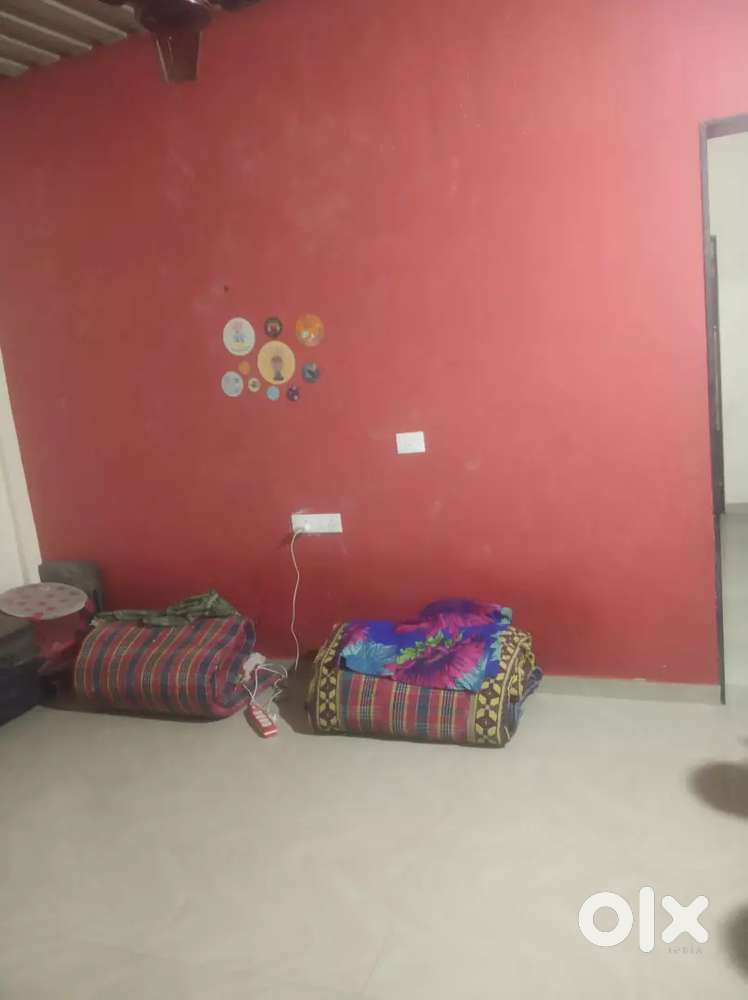 Needed female roomate