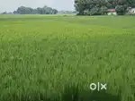 Meri jameen hai