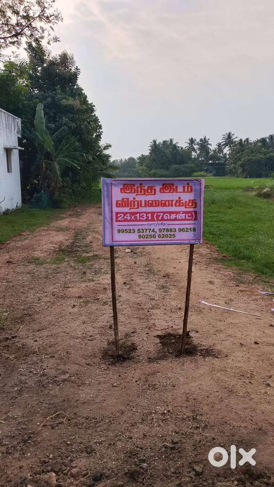 7 Cent Plot sales Kilangadu Colony Main Road