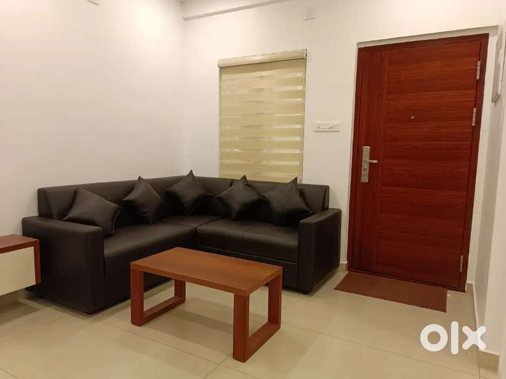 2BHK fully furnished apartment in prime Palarivattom