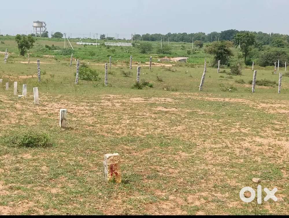 Plot for sale by owner 283 square yard  renuka yellama temple bonagiri