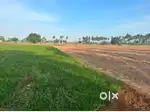 Agriculture land / agricultural land / farm land
